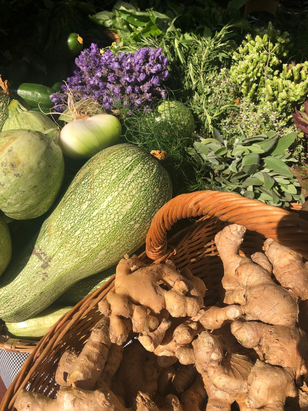Fresh ginger, squash, sage and rosemary at a market